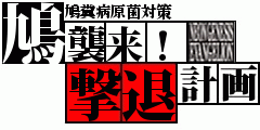 鳩襲来
