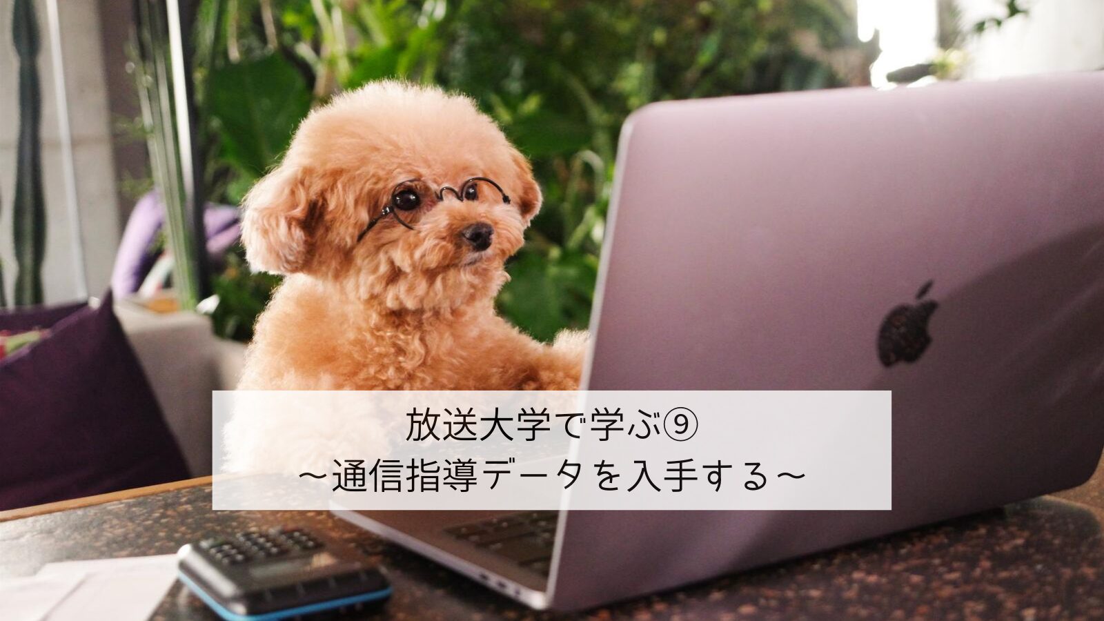 放送大学で学ぶ⑨ 通信指導データを入手する
